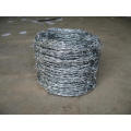 Barbed Wire Manufacturer